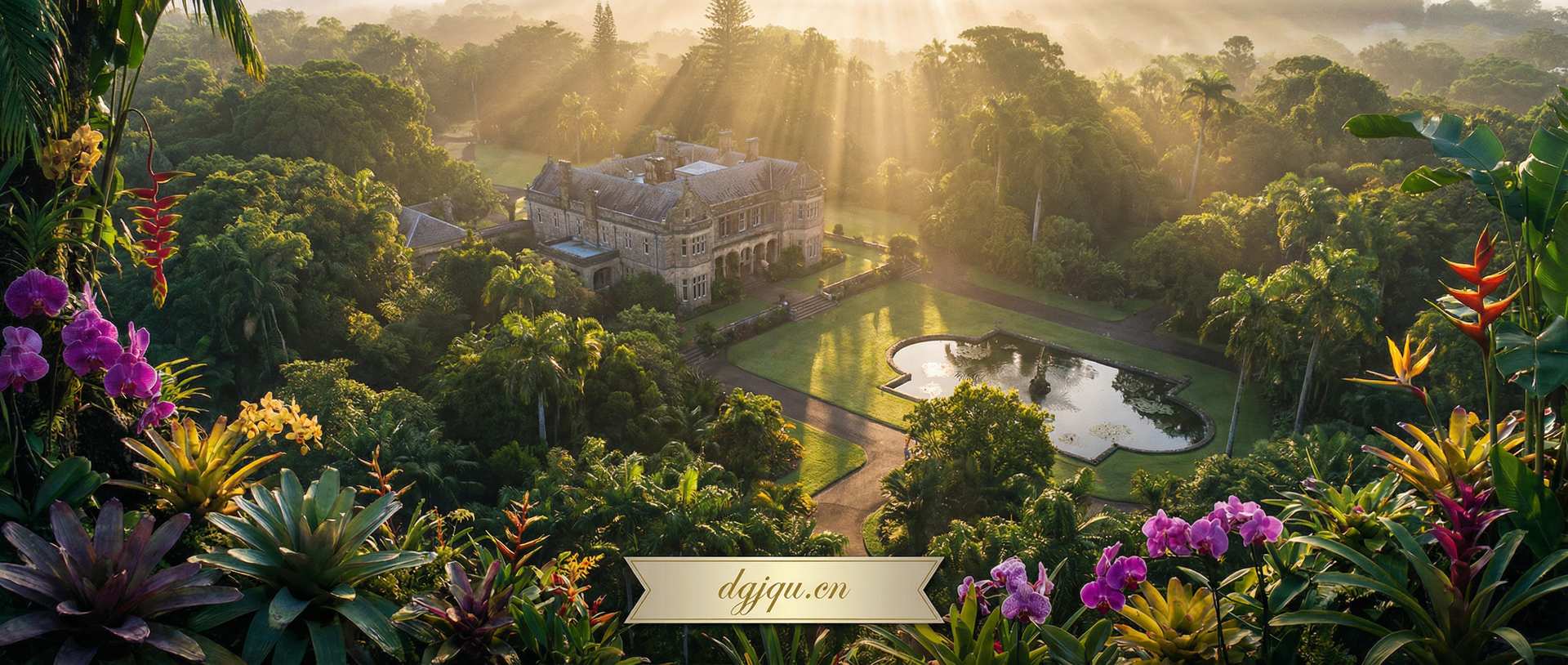 萝莉岛视频社区