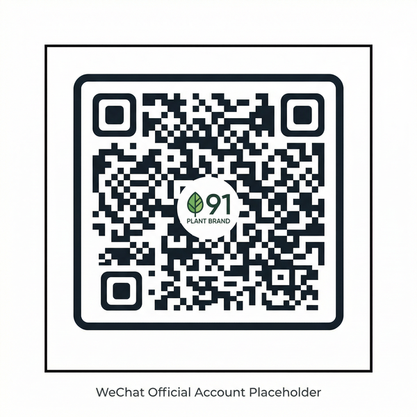 萝莉岛视频公众号二维码